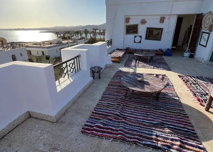Experience * Sharm el-Sheikh